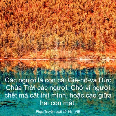 Picture 03 - Phục Truyền Luật Lệ 14:1 VIE - Các ngươi là con cái Giê-hô-va Đức - Bible Verse Picture