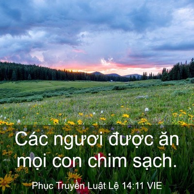 Picture 03 - Phục Truyền Luật Lệ 14:11 VIE - Các ngươi được ăn mọi con chim - Bible Verse Picture