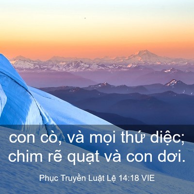 Picture 03 - Phục Truyền Luật Lệ 14:18 VIE - con cò, và mọi thứ diệc; chim rẽ quạt - Bible Verse Picture