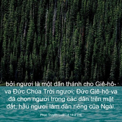 Picture 03 - Phục Truyền Luật Lệ 14:2 VIE - bởi ngươi là một dân thánh cho - Bible Verse Picture