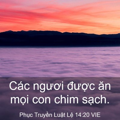 Picture 03 - Phục Truyền Luật Lệ 14:20 VIE - Các ngươi được ăn mọi con chim - Bible Verse Picture