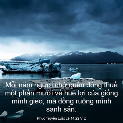 Picture 03 - Phục Truyền Luật Lệ 14:22 VIE - Mỗi năm ngươi chớ quên đóng thuế - Bible Verse Picture