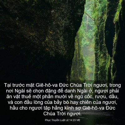 Picture 03 - Phục Truyền Luật Lệ 14:23 VIE - Tại trước mặt Giê-hô-va Đức Chúa - Bible Verse Picture