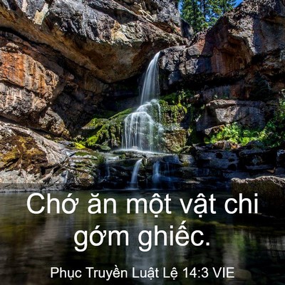 Picture 03 - Phục Truyền Luật Lệ 14:3 VIE - Chớ ăn một vật chi gớm - Bible Verse Picture