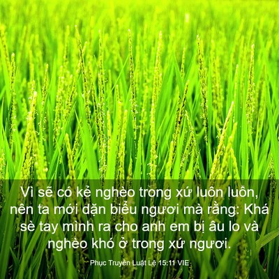 Picture 03 - Phục Truyền Luật Lệ 15:11 VIE - Vì sẽ có kẻ nghèo trong xứ luôn luôn, - Bible Verse Picture