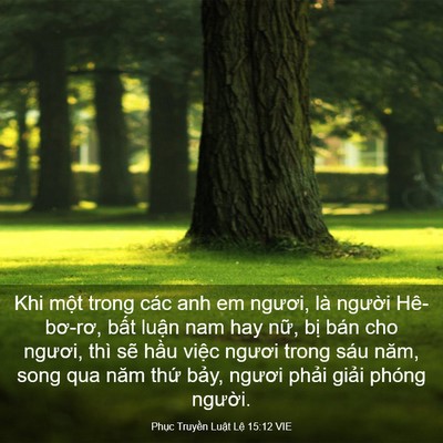 Picture 03 - Phục Truyền Luật Lệ 15:12 VIE - Khi một trong các anh em ngươi, là người - Bible Verse Picture