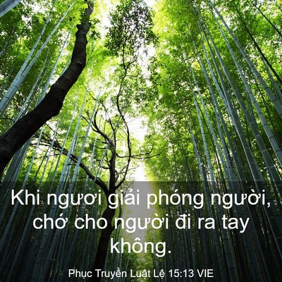 Picture 03 - Phục Truyền Luật Lệ 15:13 VIE - Khi ngươi giải phóng người, chớ cho - Bible Verse Picture