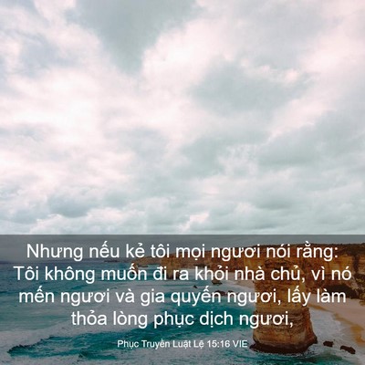 Picture 03 - Phục Truyền Luật Lệ 15:16 VIE - Nhưng nếu kẻ tôi mọi ngươi nói rằng: - Bible Verse Picture