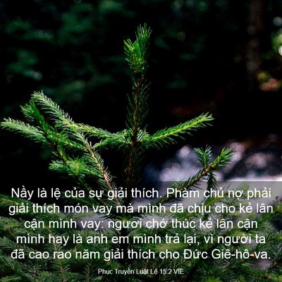 Picture 03 - Phục Truyền Luật Lệ 15:2 VIE - Nầy là lệ của sự giải thích. Phàm - Bible Verse Picture