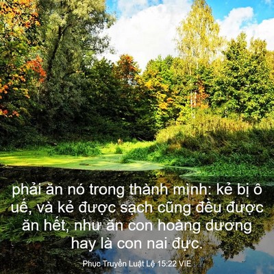 Picture 03 - Phục Truyền Luật Lệ 15:22 VIE - phải ăn nó trong thành mình: kẻ bị ô - Bible Verse Picture