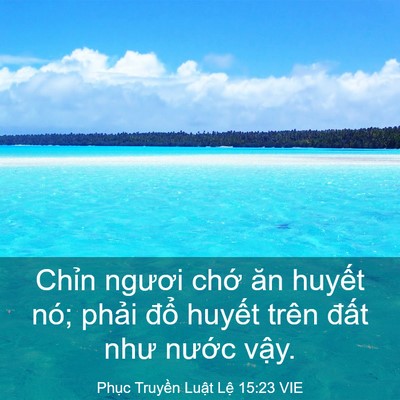 Picture 03 - Phục Truyền Luật Lệ 15:23 VIE - Chỉn ngươi chớ ăn huyết nó; phải - Bible Verse Picture