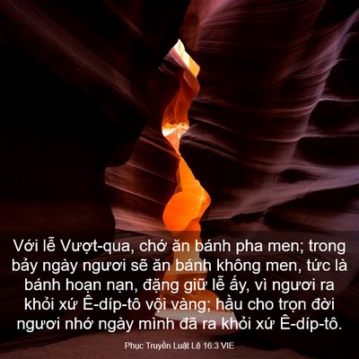 Picture 03 - Phục Truyền Luật Lệ 16:3 VIE - Với lễ Vượt-qua, chớ ăn bánh pha men; - Bible Verse Picture