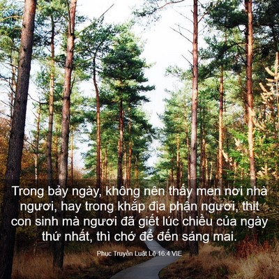 Picture 03 - Phục Truyền Luật Lệ 16:4 VIE - Trong bảy ngày, không nên thấy men nơi - Bible Verse Picture