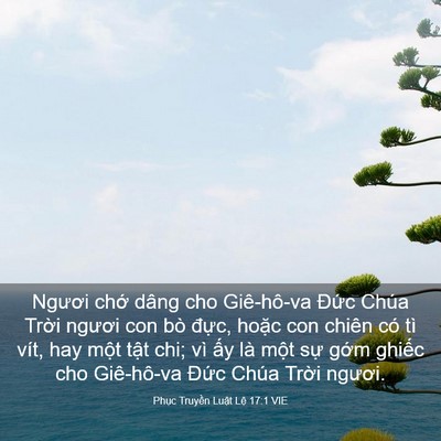 Picture 03 - Phục Truyền Luật Lệ 17:1 VIE - Ngươi chớ dâng cho Giê-hô-va Đức Chúa - Bible Verse Picture