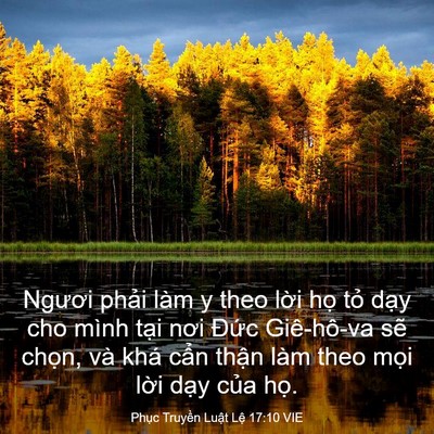 Picture 03 - Phục Truyền Luật Lệ 17:10 VIE - Ngươi phải làm y theo lời họ tỏ dạy - Bible Verse Picture