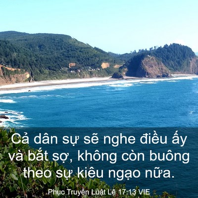 Picture 03 - Phục Truyền Luật Lệ 17:13 VIE - Cả dân sự sẽ nghe điều ấy và bắt - Bible Verse Picture