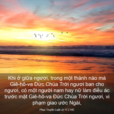 Picture 03 - Phục Truyền Luật Lệ 17:2 VIE - Khi ở giữa ngươi, trong một thành nào - Bible Verse Picture