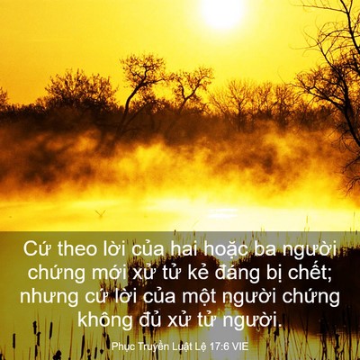 Picture 03 - Phục Truyền Luật Lệ 17:6 VIE - Cứ theo lời của hai hoặc ba người - Bible Verse Picture