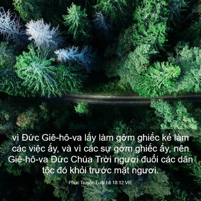 Picture 03 - Phục Truyền Luật Lệ 18:12 VIE - vì Đức Giê-hô-va lấy làm gớm ghiếc - Bible Verse Picture