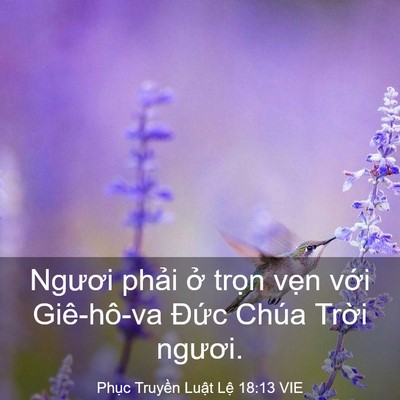 Picture 03 - Phục Truyền Luật Lệ 18:13 VIE - Ngươi phải ở trọn vẹn với Giê-hô-va - Bible Verse Picture