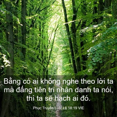 Picture 03 - Phục Truyền Luật Lệ 18:19 VIE - Bằng có ai không nghe theo lời ta mà - Bible Verse Picture