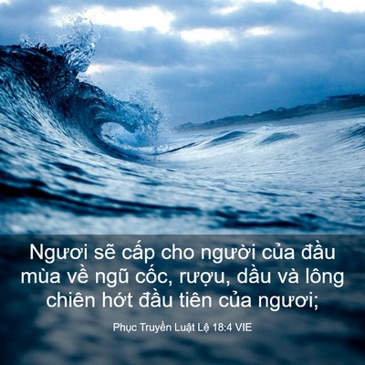 Picture 03 - Phục Truyền Luật Lệ 18:4 VIE - Ngươi sẽ cấp cho người của đầu mùa - Bible Verse Picture