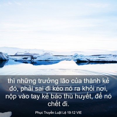Picture 03 - Phục Truyền Luật Lệ 19:12 VIE - thì những trưởng lão của thành kẻ - Bible Verse Picture