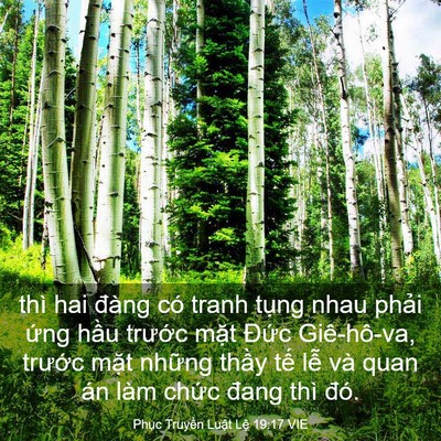 Picture 03 - Phục Truyền Luật Lệ 19:17 VIE - thì hai đàng có tranh tụng nhau phải - Bible Verse Picture