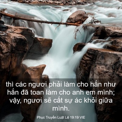 Picture 03 - Phục Truyền Luật Lệ 19:19 VIE - thì các ngươi phải làm cho hắn như - Bible Verse Picture