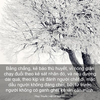 Picture 03 - Phục Truyền Luật Lệ 19:6 VIE - Bằng chẳng, kẻ báo thù huyết, vì nóng - Bible Verse Picture