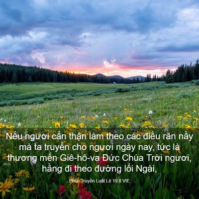 Picture 03 - Phục Truyền Luật Lệ 19:8 VIE - Nếu ngươi cẩn thận làm theo các điều - Bible Verse Picture
