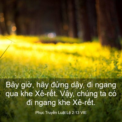 Picture 03 - Phục Truyền Luật Lệ 2:13 VIE - Bây giờ, hãy đứng dậy, đi ngang qua khe - Bible Verse Picture