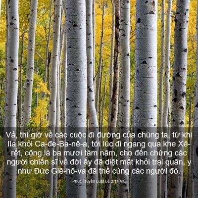 Picture 03 - Phục Truyền Luật Lệ 2:14 VIE - Vả, thì giờ về các cuộc đi đường - Bible Verse Picture