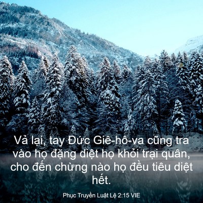 Picture 03 - Phục Truyền Luật Lệ 2:15 VIE - Vả lại, tay Đức Giê-hô-va cũng tra vào - Bible Verse Picture