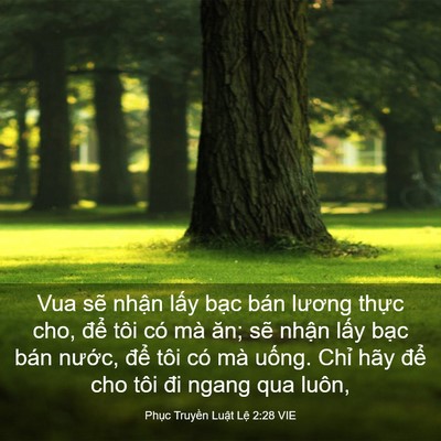 Picture 03 - Phục Truyền Luật Lệ 2:28 VIE - Vua sẽ nhận lấy bạc bán lương thực - Bible Verse Picture