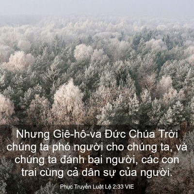 Picture 03 - Phục Truyền Luật Lệ 2:33 VIE - Nhưng Giê-hô-va Đức Chúa Trời chúng ta - Bible Verse Picture