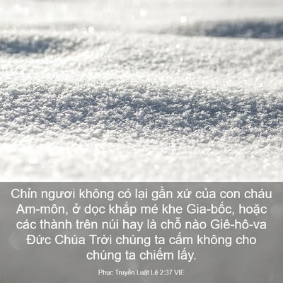 Picture 03 - Phục Truyền Luật Lệ 2:37 VIE - Chỉn ngươi không có lại gần xứ của - Bible Verse Picture