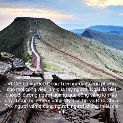 Picture 03 - Phục Truyền Luật Lệ 2:7 VIE - Vì Giê-hô-va Đức Chúa Trời ngươi đã - Bible Verse Picture