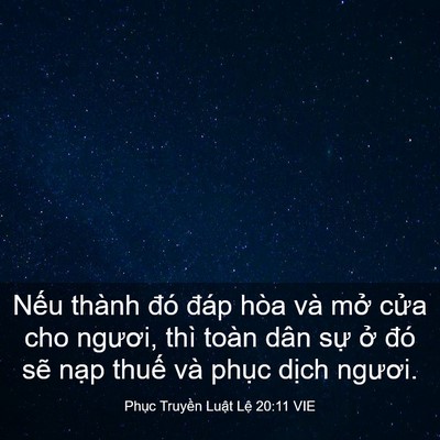 Picture 03 - Phục Truyền Luật Lệ 20:11 VIE - Nếu thành đó đáp hòa và mở cửa cho - Bible Verse Picture