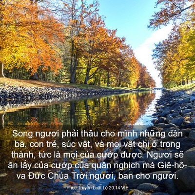 Picture 03 - Phục Truyền Luật Lệ 20:14 VIE - Song ngươi phải thâu cho mình những đàn - Bible Verse Picture
