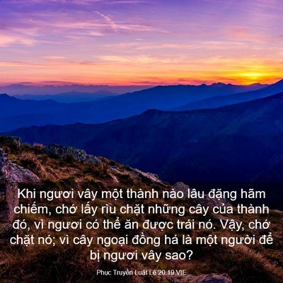 Picture 03 - Phục Truyền Luật Lệ 20:19 VIE - Khi ngươi vây một thành nào lâu đặng - Bible Verse Picture