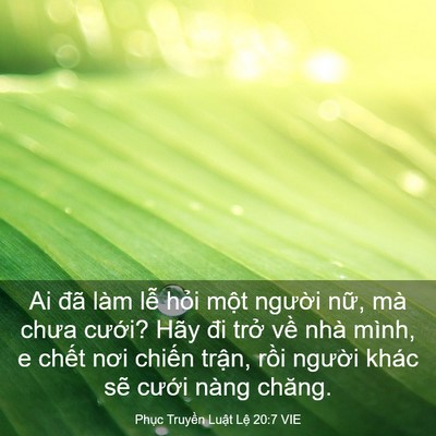 Picture 03 - Phục Truyền Luật Lệ 20:7 VIE - Ai đã làm lễ hỏi một người nữ, mà - Bible Verse Picture