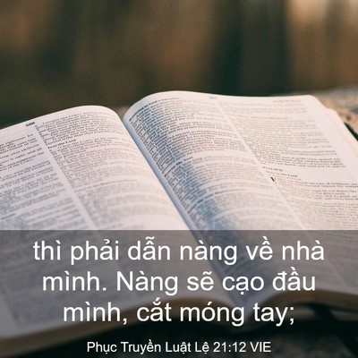 Picture 03 - Phục Truyền Luật Lệ 21:12 VIE - thì phải dẫn nàng về nhà mình. Nàng - Bible Verse Picture