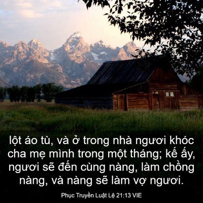 Picture 03 - Phục Truyền Luật Lệ 21:13 VIE - lột áo tù, và ở trong nhà ngươi khóc - Bible Verse Picture