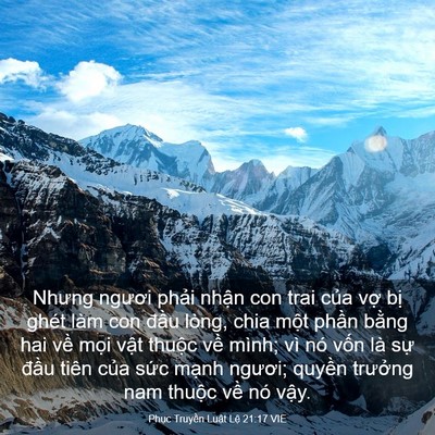 Picture 03 - Phục Truyền Luật Lệ 21:17 VIE - Nhưng ngươi phải nhận con trai của vợ - Bible Verse Picture