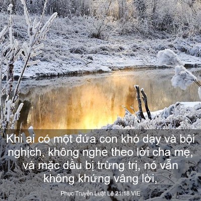 Picture 03 - Phục Truyền Luật Lệ 21:18 VIE - Khi ai có một đứa con khó dạy và bội - Bible Verse Picture
