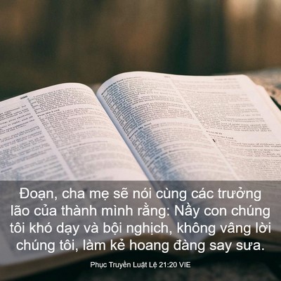 Picture 03 - Phục Truyền Luật Lệ 21:20 VIE - Đoạn, cha mẹ sẽ nói cùng các trưởng - Bible Verse Picture