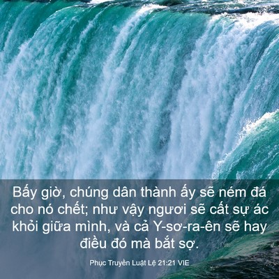 Picture 03 - Phục Truyền Luật Lệ 21:21 VIE - Bấy giờ, chúng dân thành ấy sẽ ném - Bible Verse Picture