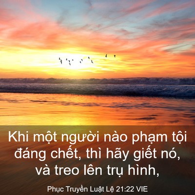 Picture 03 - Phục Truyền Luật Lệ 21:22 VIE - Khi một người nào phạm tội đáng - Bible Verse Picture