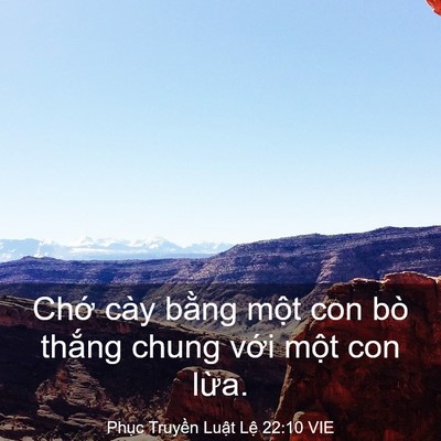 Picture 03 - Phục Truyền Luật Lệ 22:10 VIE - Chớ cày bằng một con bò thắng chung - Bible Verse Picture